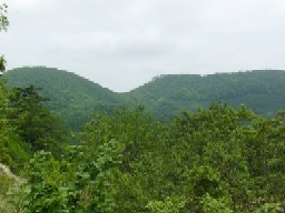高倉平から見た円子山